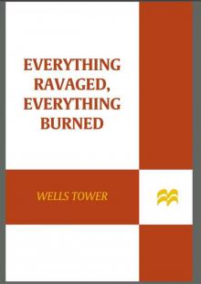 Everything Ravaged, Everything Burned: Stories