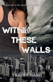 Within These Walls: Series Box Set