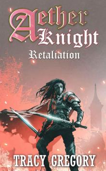 Aether Knight: Retaliation: A LitRPG Light Novel