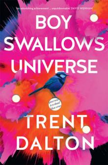 Boy Swallows Universe Boy Swallows Universe