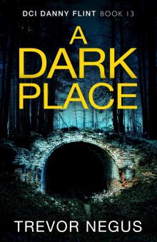 A Dark Place (DCI Danny Flint Book 13)