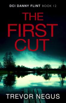 The First Cut (DCI Danny Flint Book 12)