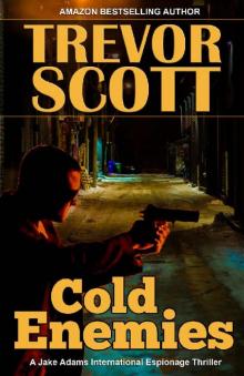 Cold Enemies (A Jake Adams International Espionage Thriller Series Book 19)
