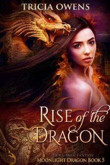 Rise of the Dragon: an Urban Fantasy (Moonlight Dragon Book 5)