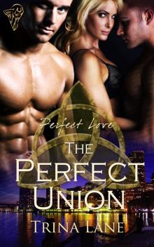The Perfect Union The Perfect Union