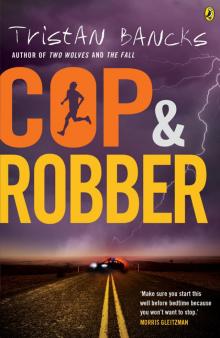 Cop and Robber