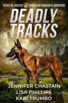 Deadly Tracks: A Christian Romantic Suspense Collection