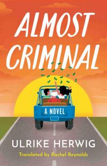Almost Criminal: A Novel Almost Criminal: A Novel