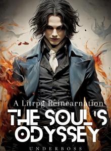 The Soul's Odyssey : A Litrpg Reincarnation