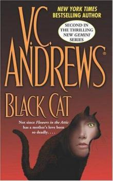 Gemini 02 Black Cat