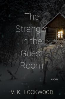 The Stranger In the Guest Room