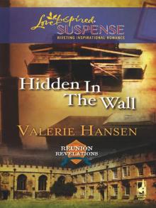 Hidden in the Wall Hidden in the Wall
