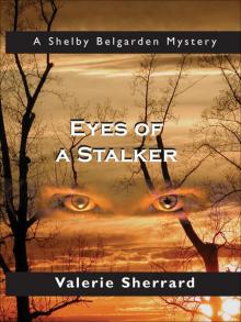 Eyes of a Stalker