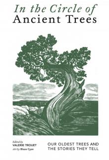 In the Circle of Ancient Trees