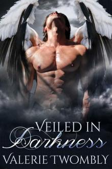 Veiled In Darkness Veiled In Darkness