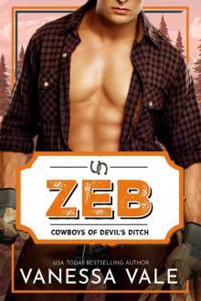 Zeb: A Small Town Cowboy Romance (Cowboys of Devil's Ditch Book 6)