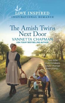 The Amish Twins Next Door The Amish Twins Next Door