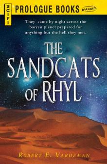 Sandcats of Rhyl Sandcats of Rhyl