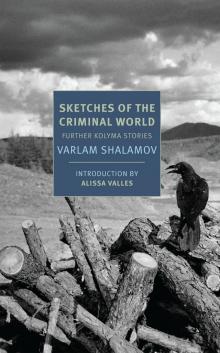 Sketches of the Criminal World
