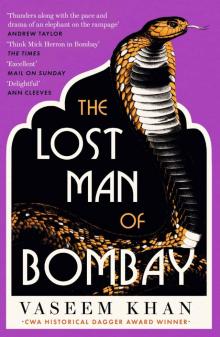 The Lost Man of Bombay (The Malabar House Series) The Lost Man of Bombay (The Malabar House Series)