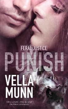 Punish (Feral Justice Book 1)
