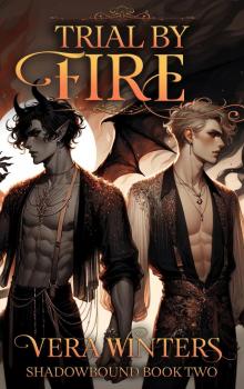 Trial by Fire: A Dark M/M Fantasy Enemies-to-Lovers Romance (Shadowbound Book 2)