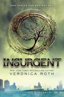 Insurgent d-2 Insurgent d-2