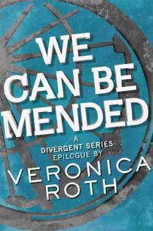 We Can Be Mended_A Divergent Story