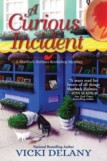 A Curious Incident A Curious Incident
