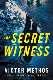 The Secret Witness (Shepard & Gray)