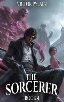 The Sorcerer: A Portal Progression Fantasy Series The Sorcerer: A Portal Progression Fantasy Series