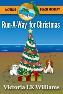 Run-A-Way for Christmas: A Citrus Beach Mystery (Citrus Beach Mysteries Book 4)