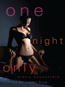 One Night Only: Erotic Encounters