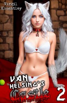 Van Helsing's Castle 2