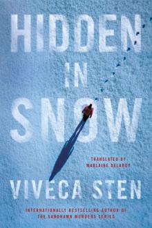 Hidden in Snow (The Åre Murders)