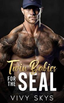 Twin Babies For The SEAL: An Age Gap Enemies To Lovers Romance