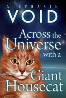 Across The Universe With A Giant Housecat (The Blue)