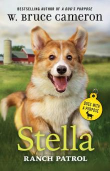 Stella