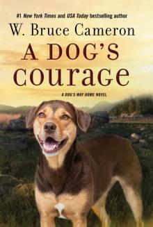 A Dog's Courage--A Dog's Way Home Novel A Dog's Courage--A Dog's Way Home Novel