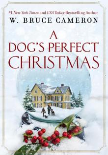 A Dog's Perfect Christmas A Dog's Perfect Christmas