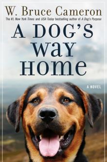 A Dog's Way Home A Dog's Way Home