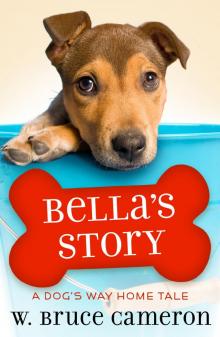 Bella's Story Bella's Story