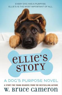 Ellie's Story Ellie's Story
