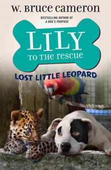 Lily to the Rescue: Lost Little Leopard Lily to the Rescue: Lost Little Leopard