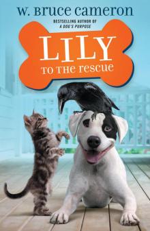 Lily to the Rescue Lily to the Rescue