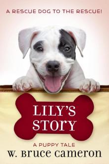 Lily's Story Lily's Story