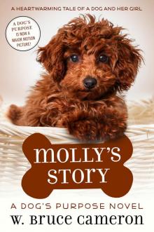 Molly's Story Molly's Story