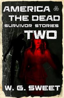 America the Dead Survivor Stories Two