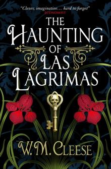 The Haunting of Las Lágrimas