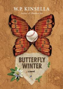Butterfly Winter